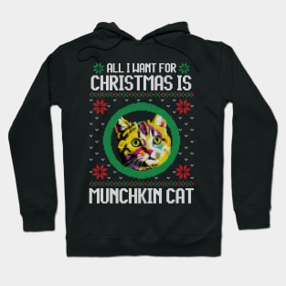 All I Want for Christmas is Munchkin Cat - Christmas Gift for Cat Lover Hoodie